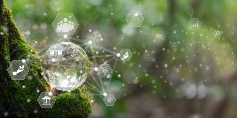 Life Cycle Analysis (LCA)