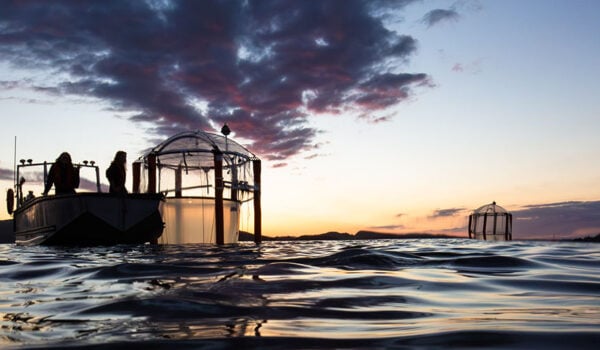 KOSMOS Bergen 2022: Mesocosm study on OAE studying silicate- vs carbonate-based OAE on a (post)spring-bloom community including fish larvae. Here, 10 of our „big" mesocosms of ~25m length and each holding a volume of ~50.000L, were deployed in the Raunefjord, close to Bergen, Norway in April/May for ~6 weeks for the EU-funded project OCEAN-NETs. 

Credit: